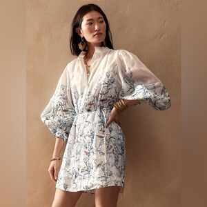 NWT Beautiful Banana Republic Ramie Popover Dress